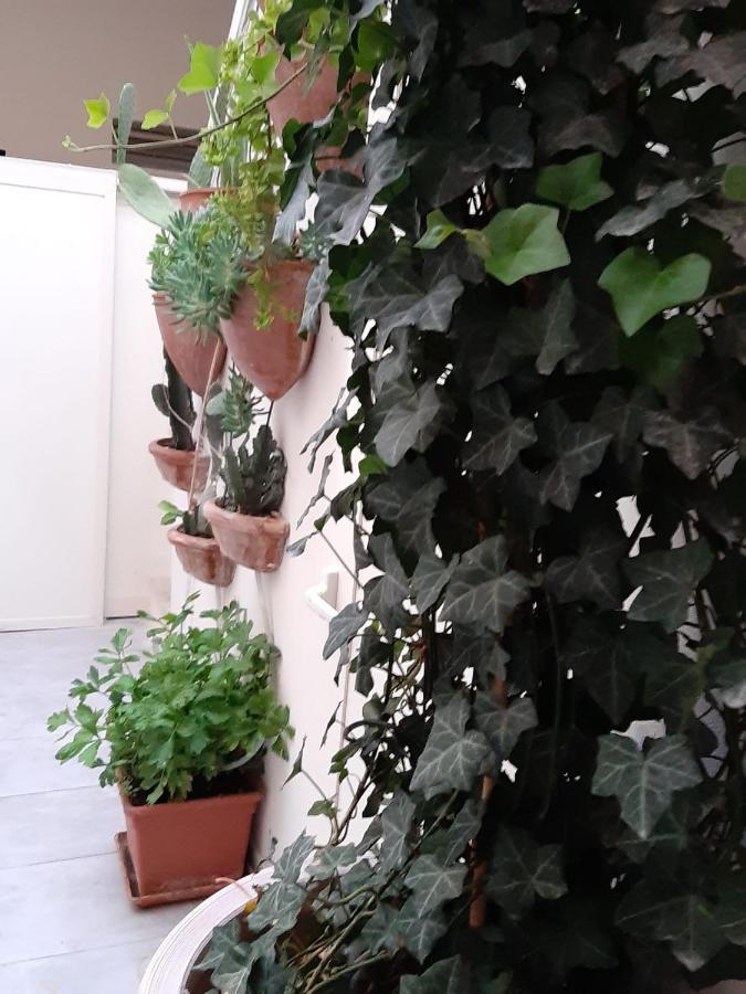 Litium 3 Acomodação com café da manhã Lecce Exterior foto